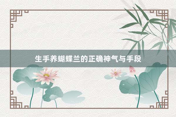 生手养蝴蝶兰的正确神气与手段