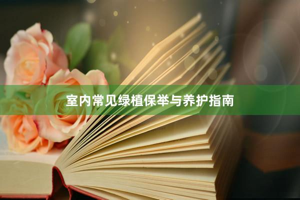 室内常见绿植保举与养护指南